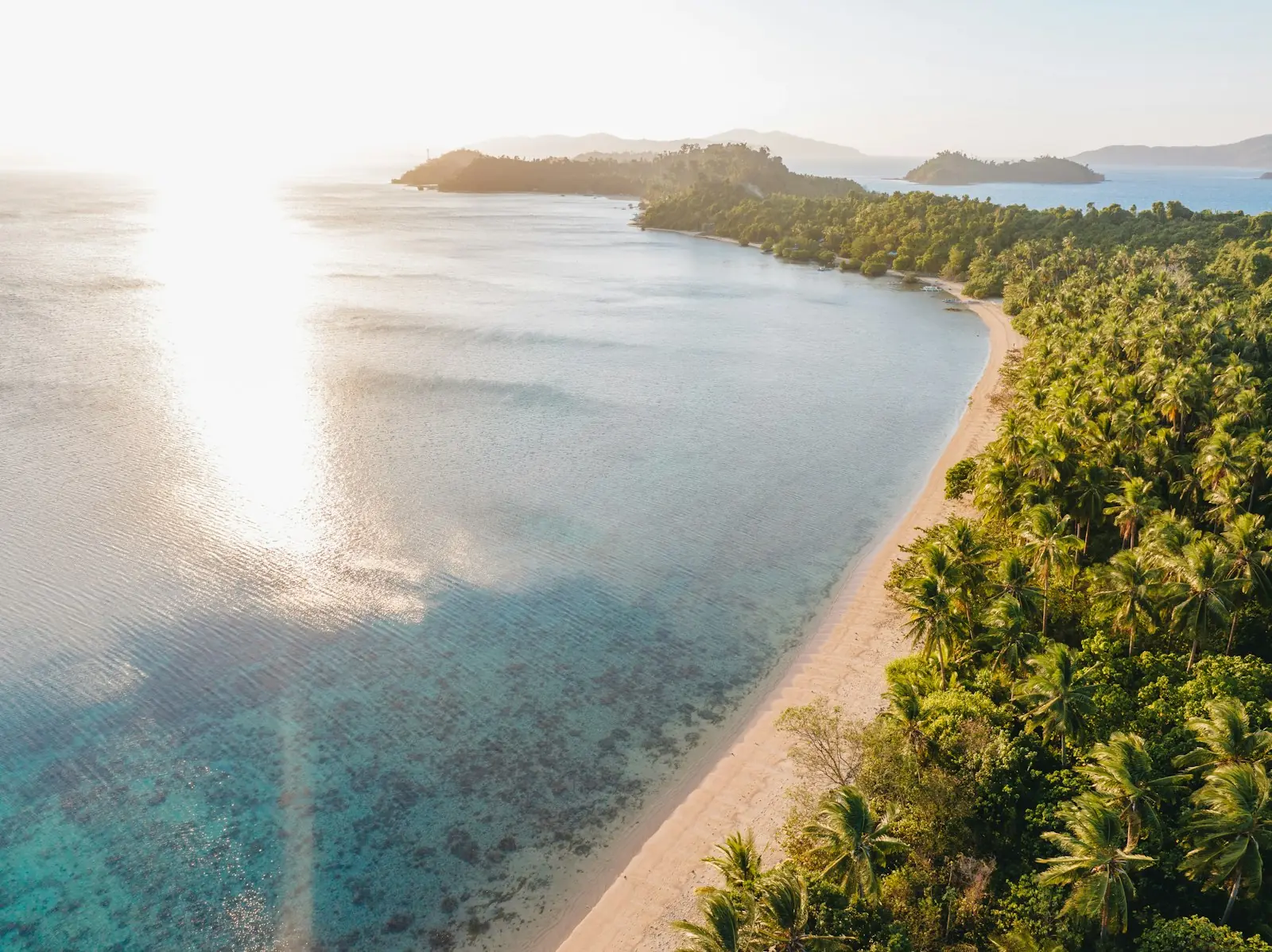 Palm-lined beach and lagoon seen from the air