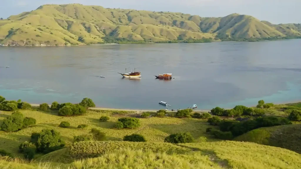 Komodo Diving Season: Best Months & What You’ll See