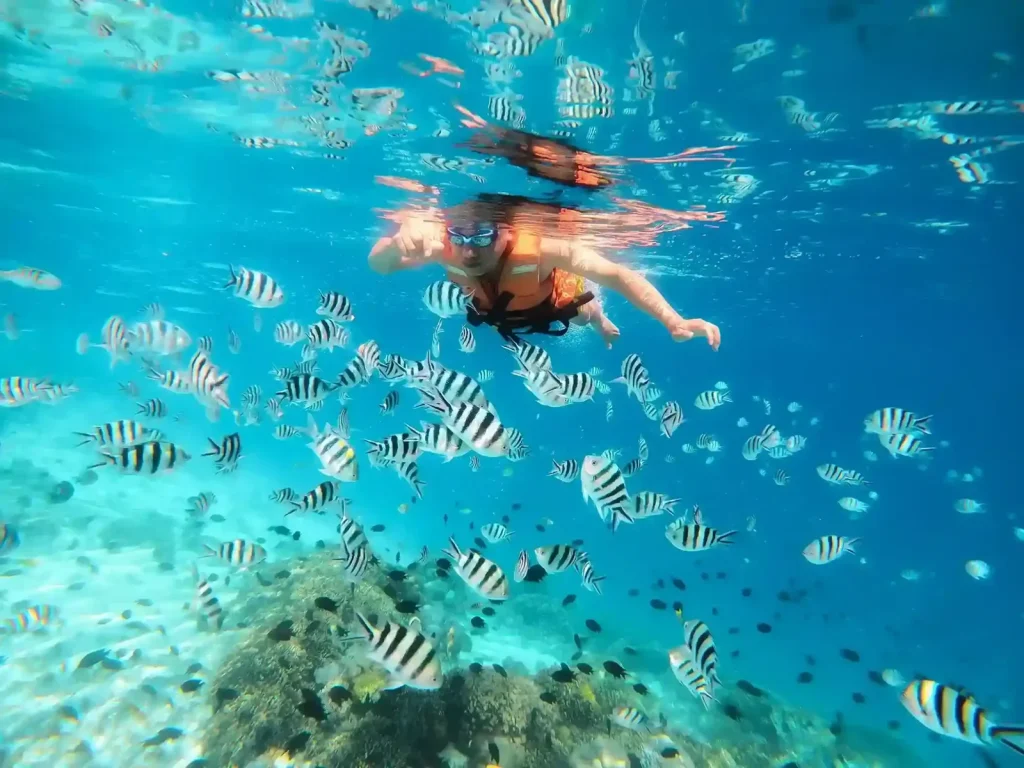 Snorkeling vs Diving in the Gili Islands