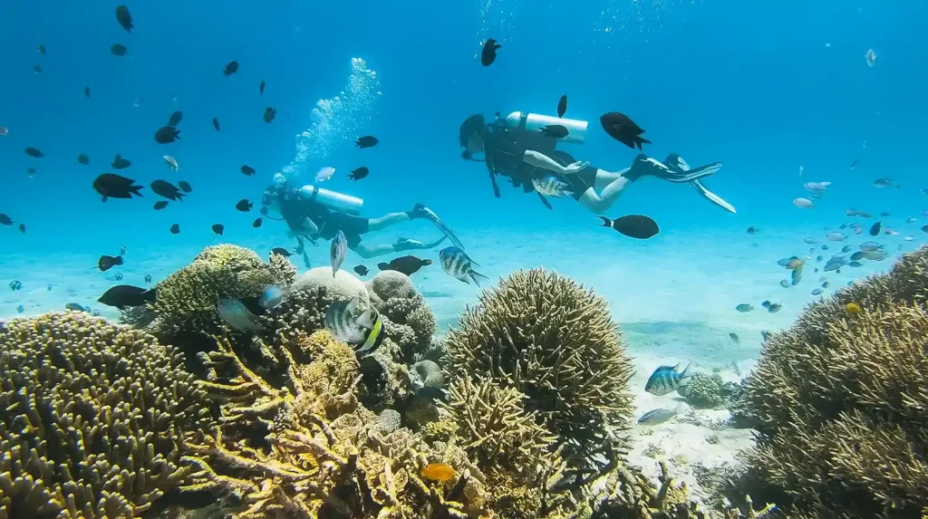 Best Time to Dive Lombok & the Gili Islands (Month by Month)