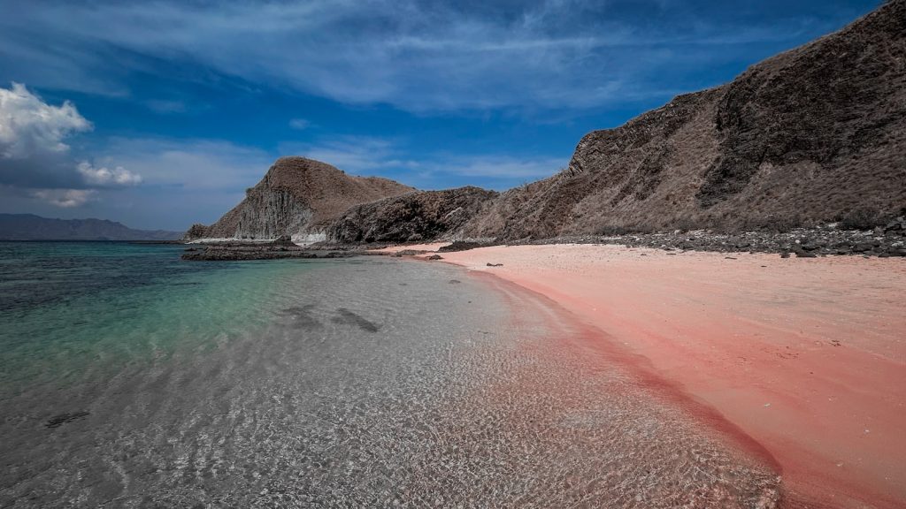 Diving in Komodo: Dive Sites, Currents & Manta Season