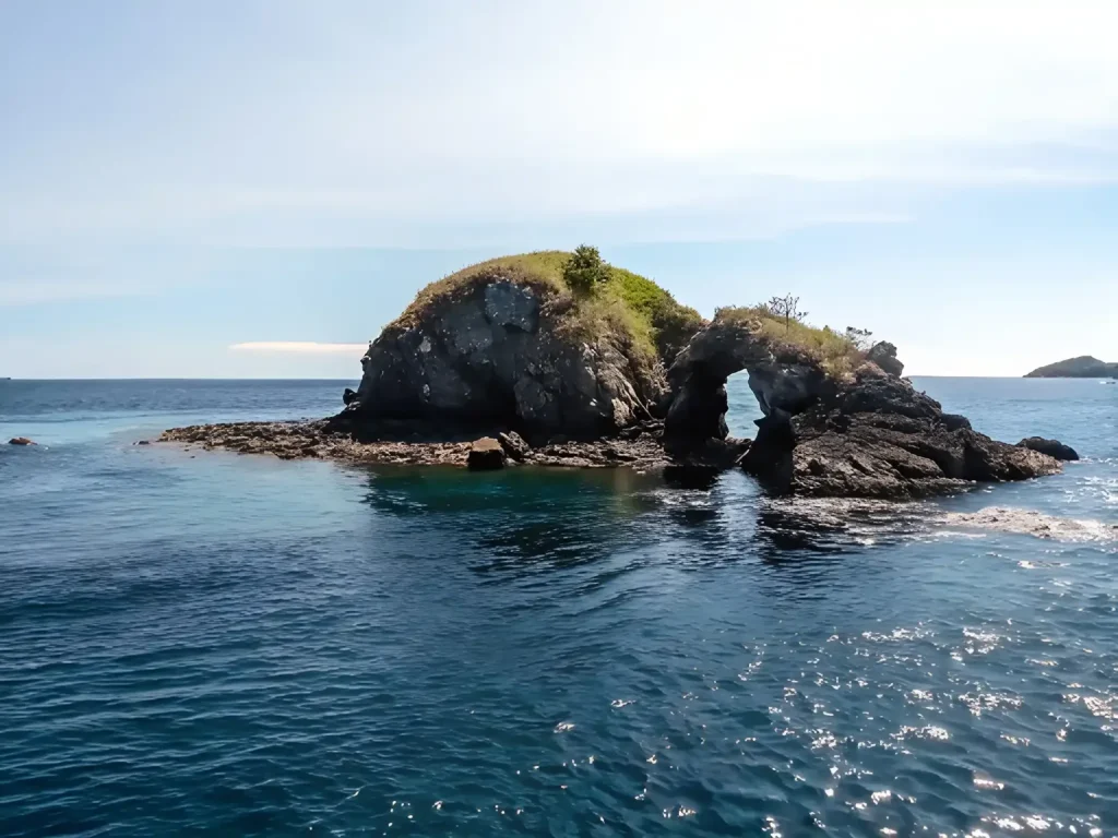 Hammerhead Diving at Belongas Bay & The Magnet (Lombok)