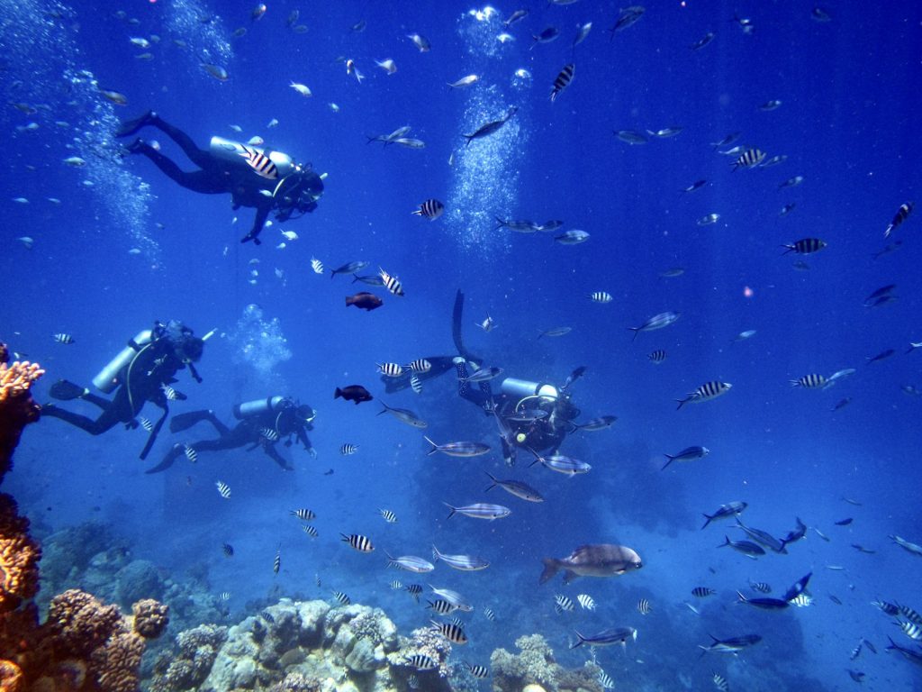 Lombok Diving: Dive Sites, Liveaboards & Komodo Cruises by Komodo Luxury