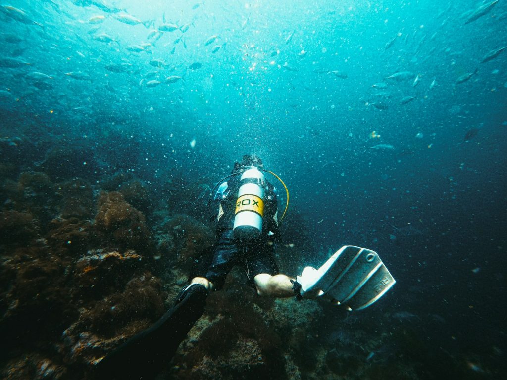 Lombok to Komodo Liveaboard: Dive Cruise Itinerary & Sites