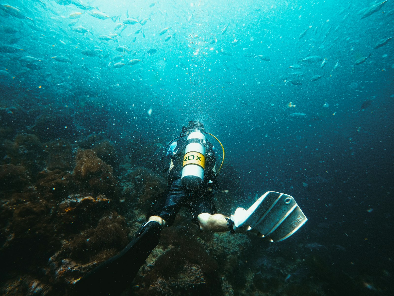 Lombok → Komodo