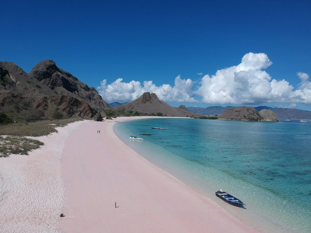 Manta Ray Diving in Komodo (From Lombok or Labuan Bajo)