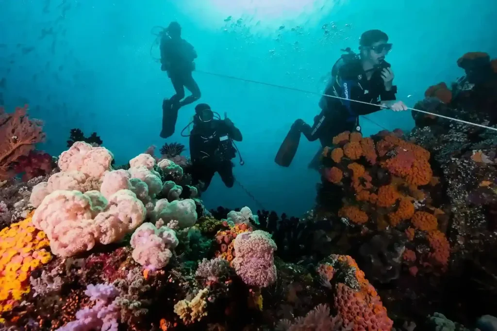 PADI Courses in Lombok: From Open Water to Advanced