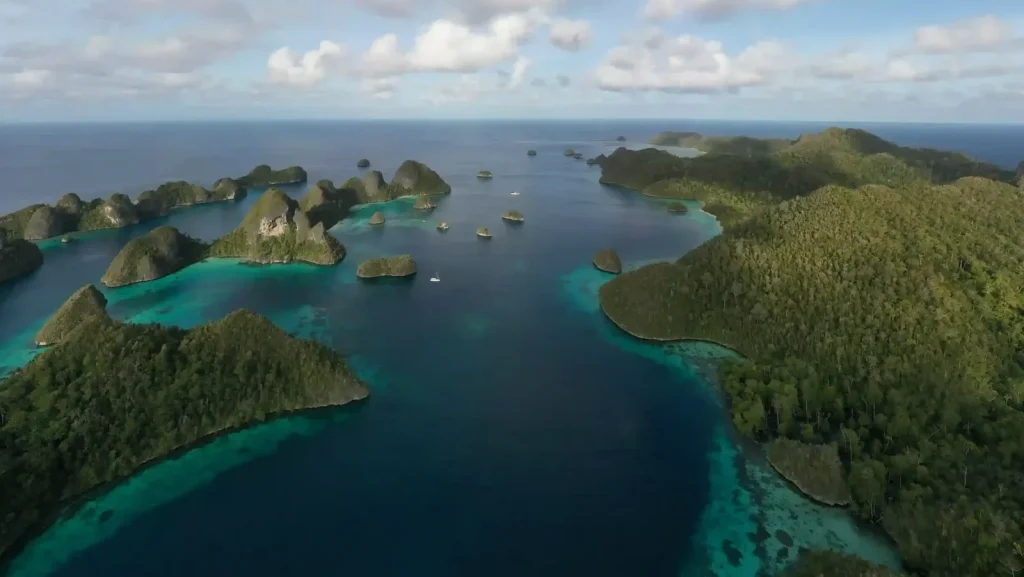 Best Time to Dive Raja Ampat (Season Guide)