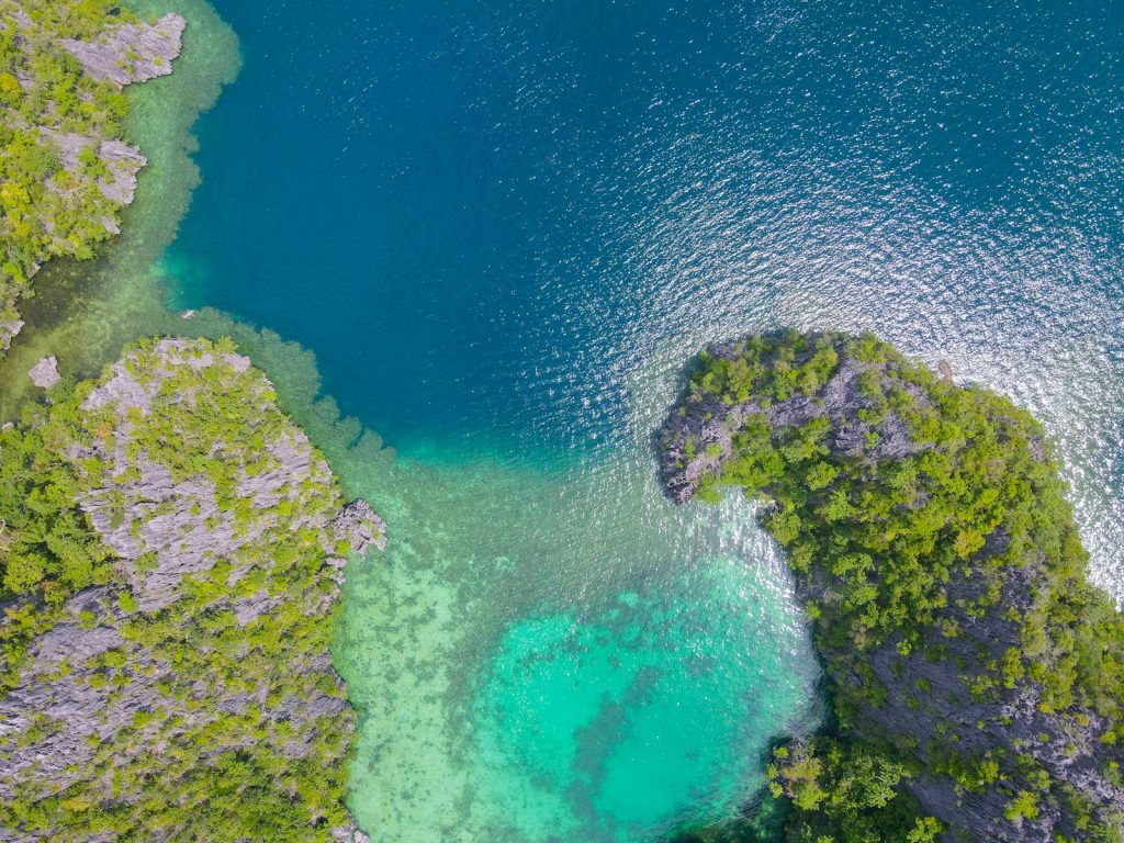 Best Time to Dive Raja Ampat (Season Guide)