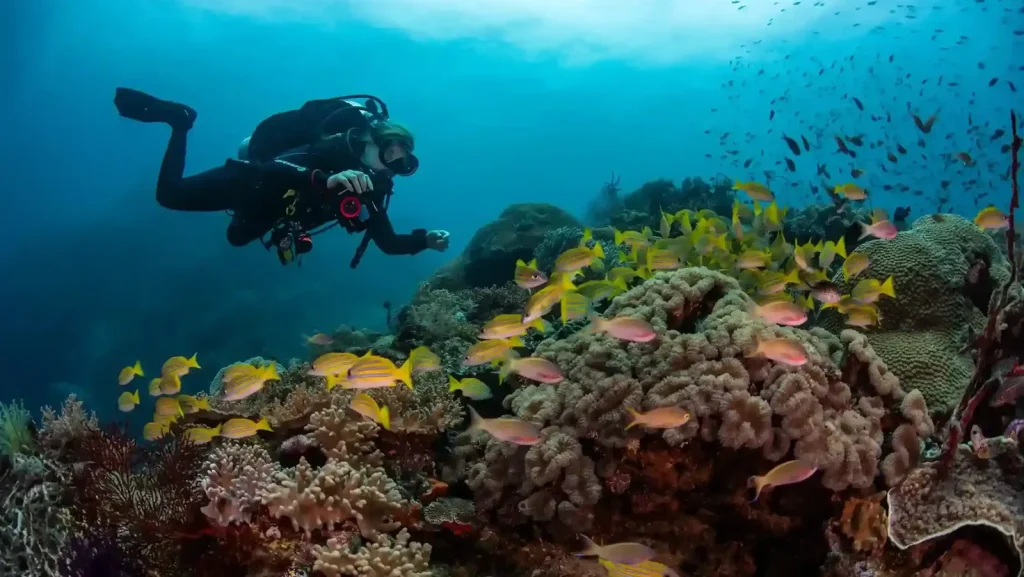 Underwater Photography in Lombok & Komodo