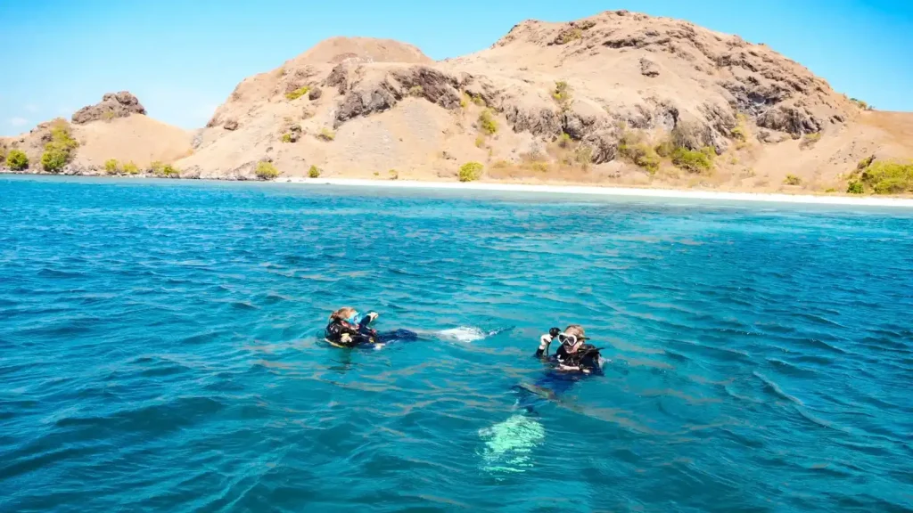 Discovering New Diving Sites in Lombok for 2027