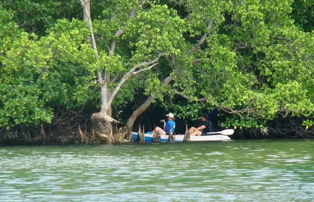 Eco-Tourism in Lombok Diving: Future Prospects by 2027