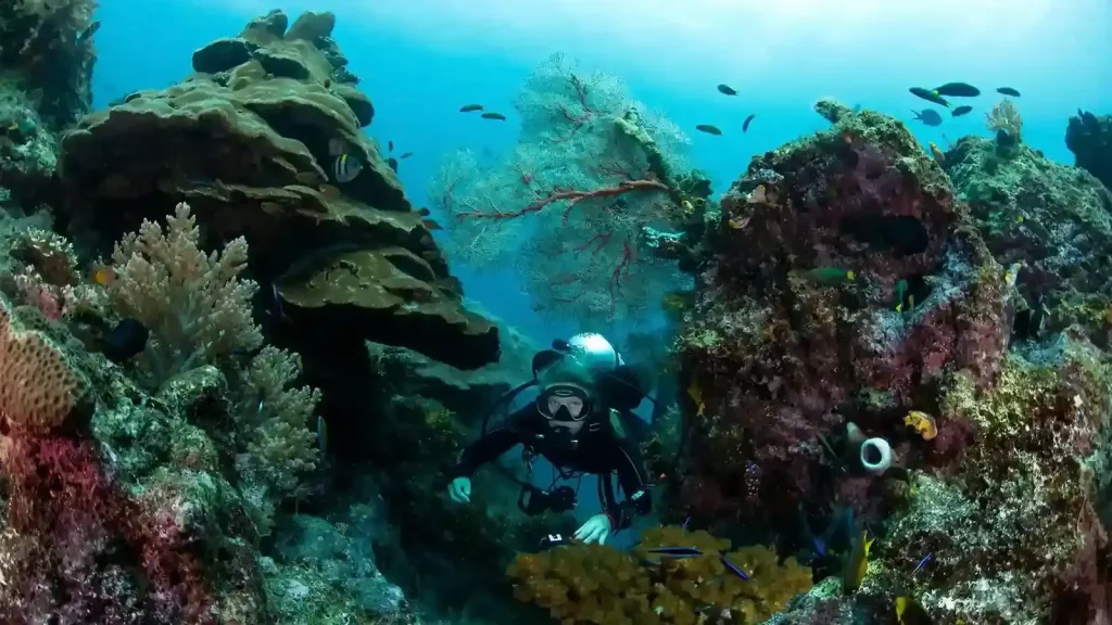 How Artificial Intelligence is Shaping the Future of Diving in Lombok