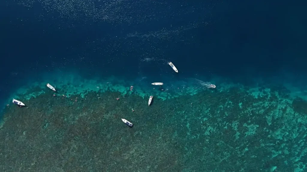 Lombok Diving Maps: Navigating Lombok’s Waters with Interactive Tools